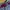 Japanese brand Streetwear Skater Jeans Pria multicolor blue photo 4