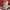Jerzees Vintage Sweatshirt Pria red photo 3