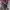 Viviene Tam Vintage Y2K Shirt Wanita pink black photo 3