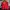 Columbia Gorpcore Sweatshirt Pria red photo 4