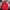Columbia Gorpcore Sweatshirt Pria red photo 1