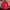 Columbia Gorpcore Sweatshirt Pria red photo 2