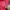 Columbia Gorpcore Sweatshirt Pria red photo 6