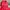 Columbia Gorpcore Sweatshirt Pria red photo 3