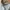 Kapital Kountry Vintage Cardigan Pria white gray photo 4