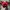 Casual Hat Pria red photo 3