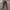 Kappa Sportswear Casual Sweatpants & Joggers Pria gray photo 1