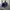 C.P. Company Sportswear Casual Hat Pria navy photo 3