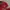 MLB Vintage Streetwear Harrington jacket Pria red photo 3