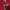MLB Vintage Streetwear Harrington jacket Pria red photo 6