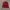MLB Vintage Streetwear Harrington jacket Pria red photo 2