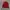 MLB Vintage Streetwear Harrington Jacket Pria Red