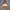 WHO.A.U Y2K Hoody Pria multicolor photo 4