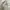 Uniqlo Casual Casual shirt Pria white photo 8