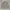 Casual Track jacket Pria cream photo 1