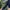 Puma Vintage Sweatshirt Pria navy photo 3