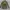 Streetwear Casual Parka Pria green photo 6