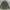 Streetwear Casual Parka Pria green photo 2