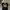 Streetwear Sportswear Jersey Pria black yellow photo 1