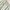 Minimalist Wanita white green photo 7