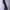 Dickies Streetwear Casual Casual pants Pria multicolor photo 1