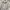 Cosplay Casual Formal shirt Pria white blue photo 2