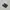 Adidas Casual Sneakers Pria black gray photo 1