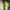 Adidas Sportswear Sneakers Pria green photo 2
