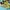 Adidas Sportswear Sneakers Pria green photo 1