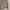 Off-White Streetwear Casual Sweatshirt Pria tan photo 4