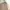 Off-White Streetwear Casual Sweatshirt Pria tan photo 3