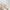 Off-White Streetwear Casual Sweatshirt Pria tan photo 5