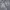 WHO.A.U Casual Hoody Pria gray photo 2