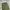 Uniqlo Vintage Streetwear Pria green photo 2