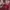 WHO.A.U Casual Hoody Pria red photo 5