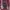 WHO.A.U Casual Hoody Pria red photo 3