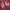 WHO.A.U Casual Hoody Pria red photo 2