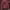 WHO.A.U Casual Hoody Pria red photo 6