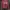 WHO.A.U Casual Hoody Pria red photo 1