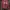WHO.A.U Casual Hoody Pria Red