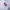 Dickies Casual Hoody Pria white photo 4