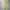 Le Coq Sportif Sportswear Wanita Yellow