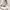 Streetwear Casual Sneakers Pria white red photo 4