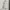 Nike Streetwear Luxury Sweatshirt Pria tan photo 1