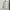 Nike Streetwear Luxury Sweatshirt Pria Tan