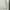 Nike Streetwear Luxury Sweatshirt Pria Tan