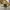 Nike Streetwear Luxury Sweatshirt Pria tan photo 3