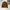 Casual Bomber Jacket Pria Brown
