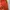 Casual Summer dress Wanita red orange photo 4