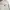 Timberland Streetwear Casual Sweatshirt Pria tan photo 4